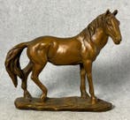 Beeld, Paard (Zonder Minimumprijs) - 17 cm - Brons, Antiek en Kunst
