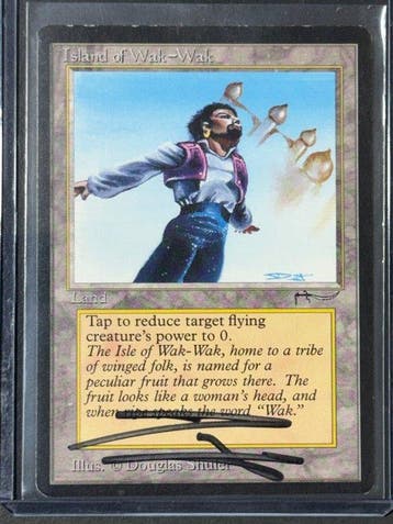 Wizards of The Coast - 1 Card - Magic: The Gathering Arabian, Nieuw