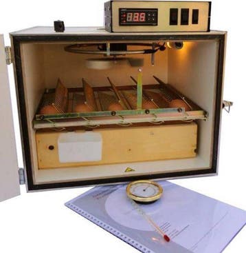 MS35 broedmachine 35 eieren semi automatisch | €439, Verzenden, Nieuw