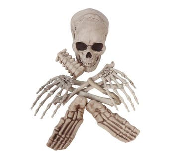 Halloween Skelet, Verzenden, Nieuw