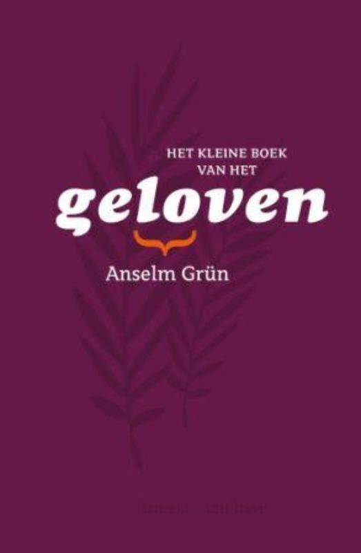 Het kleine boek van het geloven 9789059951617 Anselm Grün, Livres, Ésotérisme & Spiritualité, Envoi