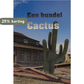 Een bundel Cactus 9789492055514 Harry Hamstra, Verzenden, Harry Hamstra