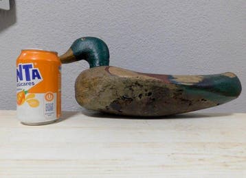 Lokeend - Hout