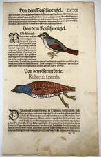 Conrad Gesner - First Issue - Rock Thrush & Redstart, birds