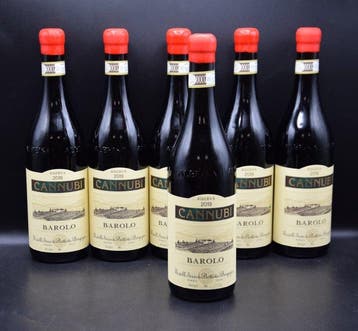 2019 Serio & Battista Borgogno - Cannubi - Barolo Riserva -, Verzamelen, Wijnen, Nieuw