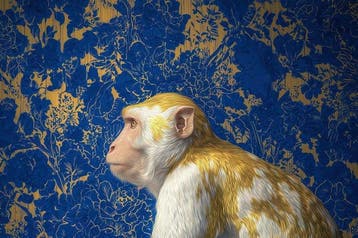 Yamila - El Macaco de Kintsugi: Una Meditación en Oro y Azul