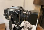Hasselblad 503CXi + A12 Back + 2,8/80mm CZ Planar | 120 /