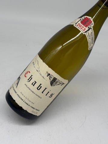 2023 Domaine Vincent Dauvissat - Chablis - 1 Bouteilles, Collections, Vins
