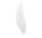 Witte Struisvogelveren 40cm 12st, Verzenden, Nieuw