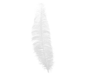 Witte Struisvogelveren 40cm 12st, Verzenden, Nieuw