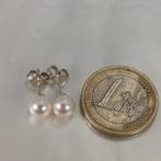 Sans prix de réserve - Boucles doreilles Argent Perle -, Bijoux, Sacs & Beauté, Boucles d'oreilles