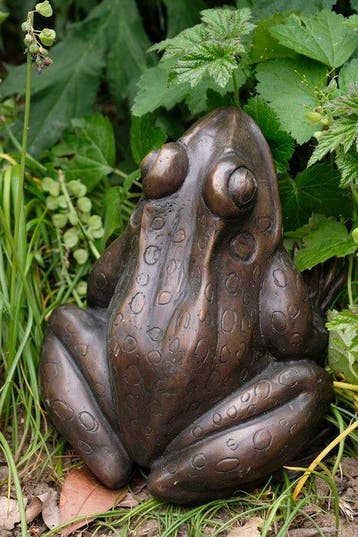sculptuur, Charming Frog - 2.6 kg - 15 cm - Brons