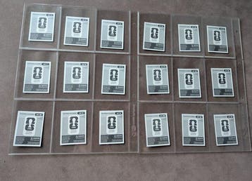 Panini USA 2026 World Cup alab Silver - Austria Team Niet
