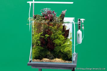 Dooa System AQUA 30, Verzenden, Nieuw