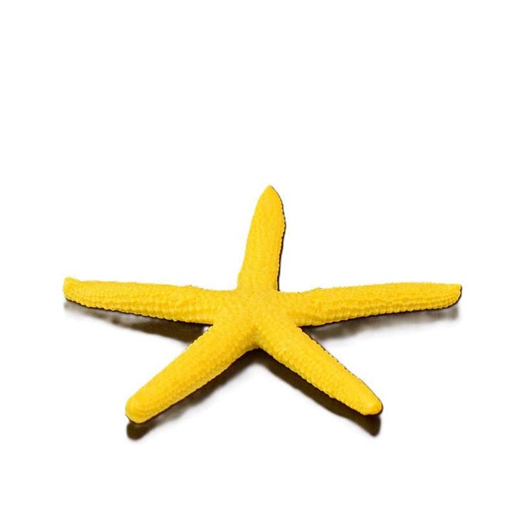 Zeester geel 6cm /  Aquarium decoratie As-278 (Hardscaping), Animaux & Accessoires, Poissons | Aquariums & Accessoires, Envoi