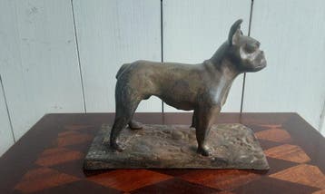 P. Chenet - Figuur - Bulldog - 20 cm - Brons