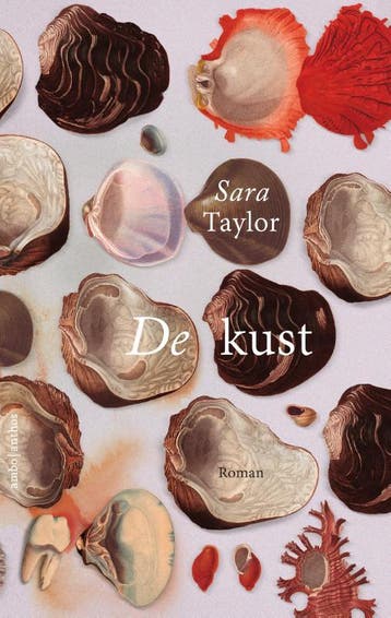 De kust 9789026333101 Sara Taylor, Boeken, Verzenden, Gelezen, Sara Taylor