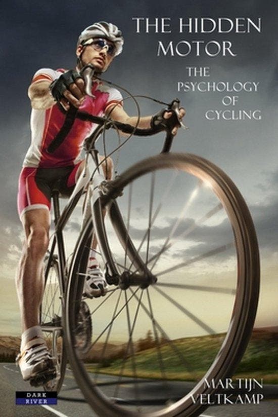 The Hidden Motor 9781911121114 Martijn Veltkamp, Boeken, Taal | Engels, Zo goed als nieuw, Verzenden