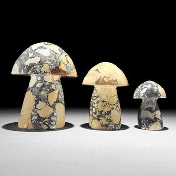 Geen reserveprijs - Prachtige set van 3 gele Maligano, Antiek en Kunst