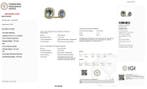 Ring - 14 karaat Geel goud - 2.14ct. tw. Gemengde edelstenen, Nieuw