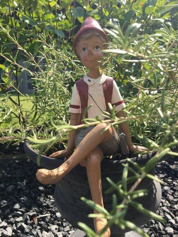 Figure - THE ADVENTURE PINOKKIO - Résine