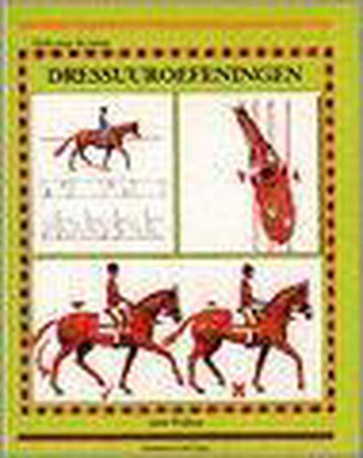 Dressuuroefeningen / Gids voor de jonge ruiter 9789038407845, Livres, Loisirs & Temps libre, Envoi