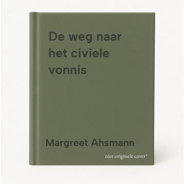 De weg naar het civiele vonnis 9789462901681, Livres, Science, Verzenden, Margreet Ahsmann