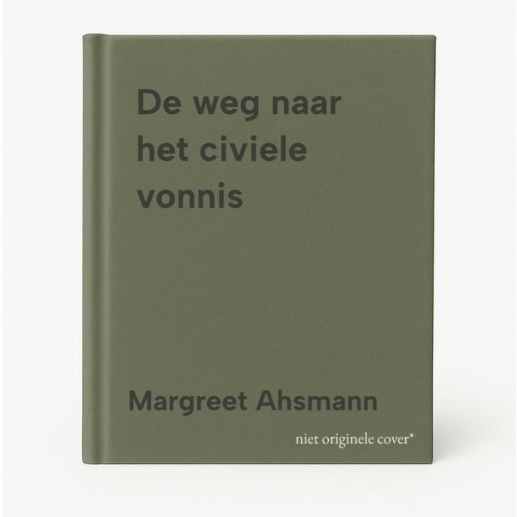 De weg naar het civiele vonnis 9789462901681, Boeken, Wetenschap, Zo goed als nieuw, Verzenden