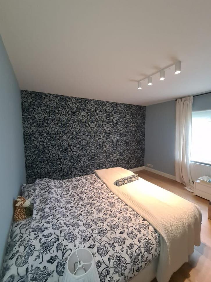 Peinture et travaux de bricolage professionnels et soignés, Diensten en Vakmensen, Schilders en Behangers, Behangen, Binnenschilderwerk