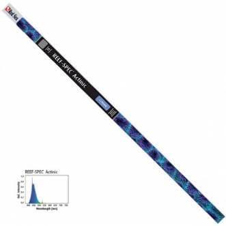 Red Sea T5 TL buis 24 watt - Actinic blue 22.000K, Verzenden, Nieuw
