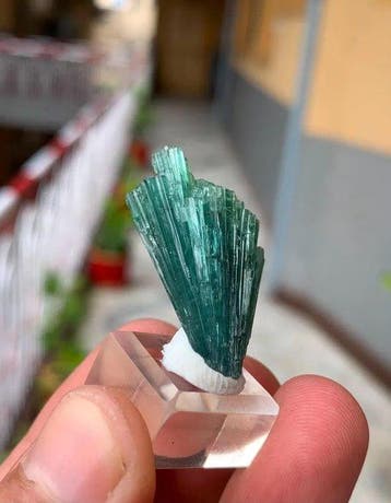 Cluster de cristaux de tourmaline verte Cristaux - Hauteur :