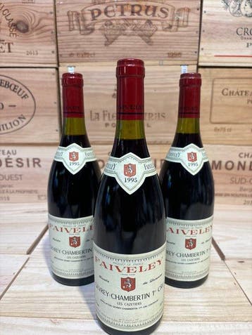 1995 Faiveley Les Cazetiers - Gevrey Chambertin 1er Cru -