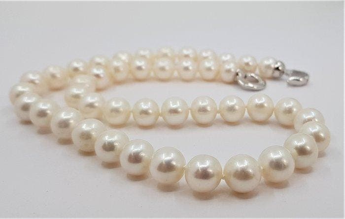 Zonder minimumprijs - Halsketting 10x11 mm ronde Edison, Bijoux, Sacs & Beauté, Colliers