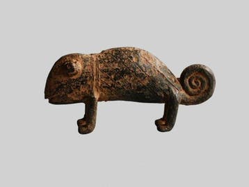 Caméléon - Afrique (Sans prix de réserve)
