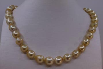 Sans prix de réserve - Collier Perles des Mers du Sud dorées