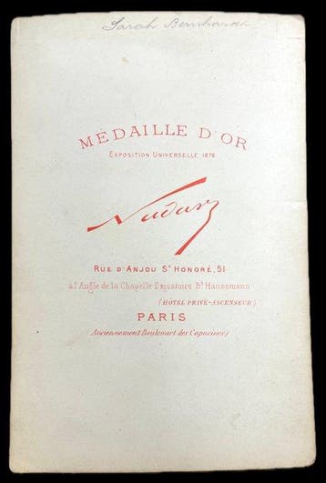 Nadar (1820–1910) - Original 19th-Century Cabinet Card of