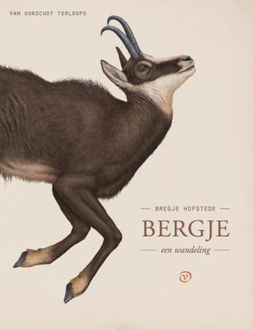 Bergje / Terloops 9789028210332 Bregje Hofstede, Verzenden, Bregje Hofstede