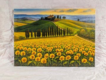 Marino Faliero (1948) - Campi di girasole