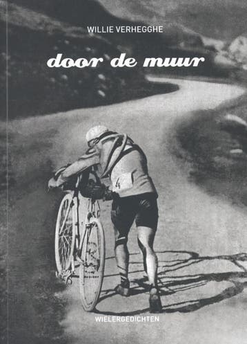 Door de muur 9789491376177 Willy Verhegghe, Boeken, Verzenden, Zo goed als nieuw, Willy Verhegghe