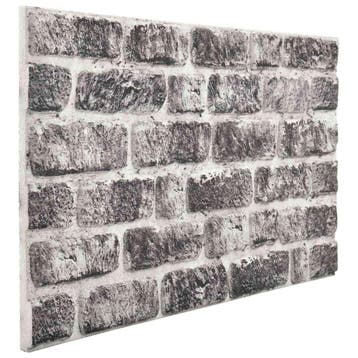 vidaXL Wandpanelen 10 st 100 x 50 cm Donkergrijs en Wit, Verzenden