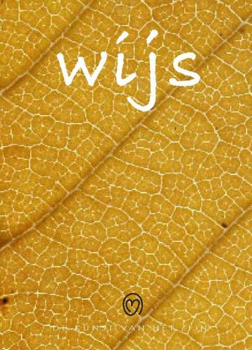 De kunst van het zijn - Wijs 9789089891150 Birgitta de Vos, Verzenden, Gelezen, Birgitta de Vos