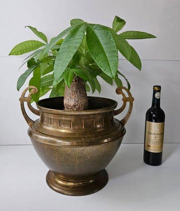 XL Art Deco - Bloempot - Koper, Antiek en Kunst