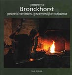 gemeente Bronckhorst 9789073667884 H. Hilferink, Boeken, Verzenden, Gelezen, H. Hilferink
