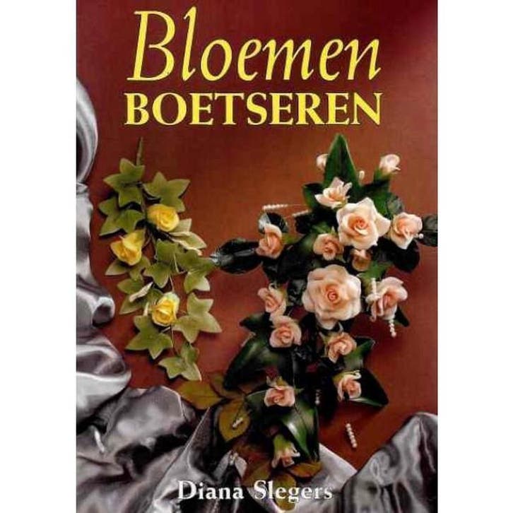Bloemen boetseren 9789056900274 Diana Slegers, Boeken, Hobby en Vrije tijd, Gelezen, Verzenden
