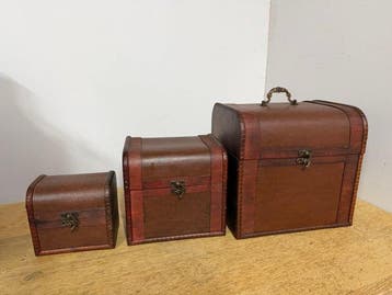 Kist (3) - Decoratieve Houten opbergkoffer - Hout