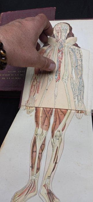 Curiosity : French large book on home medicine - with many