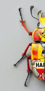 F2B - BeetleCan Haribo 2I8