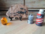 Jurassic Park - Barbasol, Collections