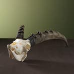 Steenbok Ibex Schedel Taxidermie Opgezette Dieren By Max, Ophalen of Verzenden, Nieuw, Wild dier, Opgezet dier