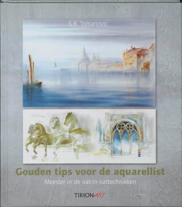 Gouden tips voor de aquarellist 9789043911719 S.B. Tomanovic, Verzenden, S.B. Tomanovic
